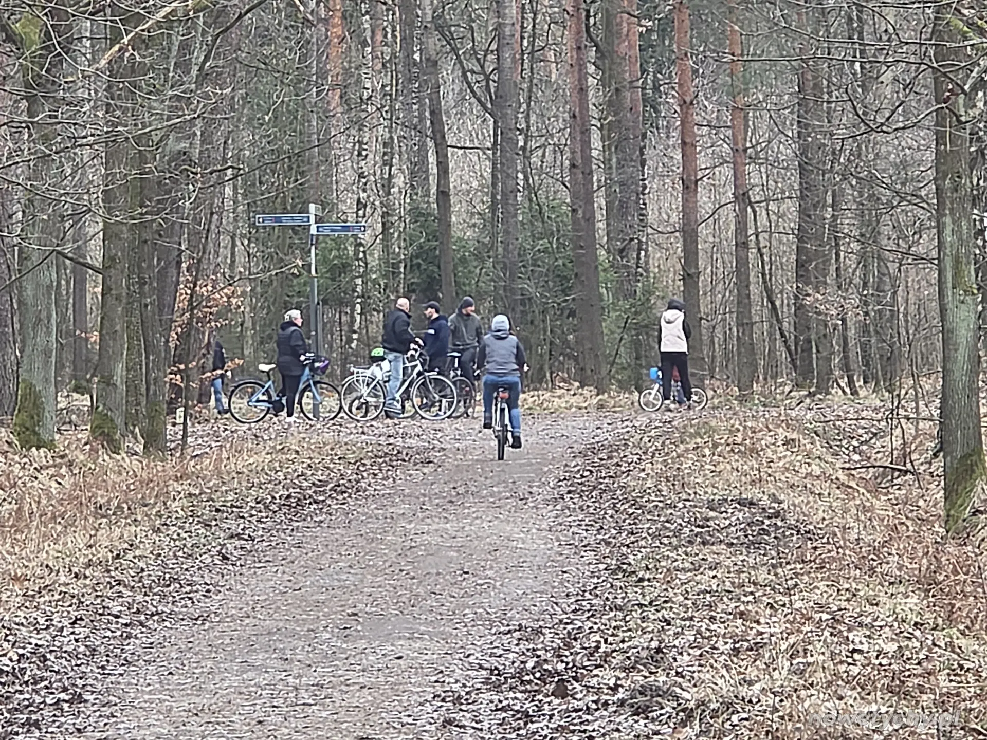Skrzyżowanie, rowerzyści na leśnym odcinku trasy