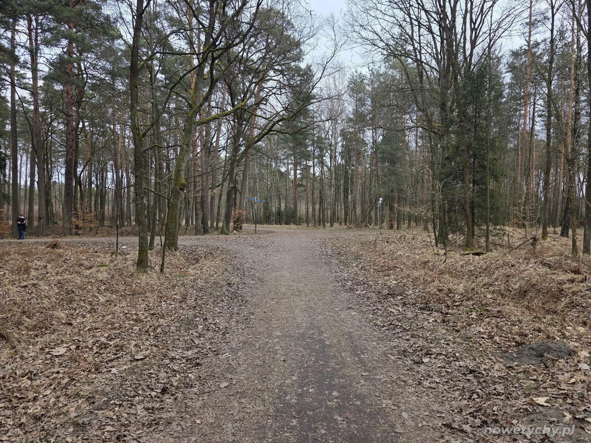 Lesna trasa, skrzyżowanie