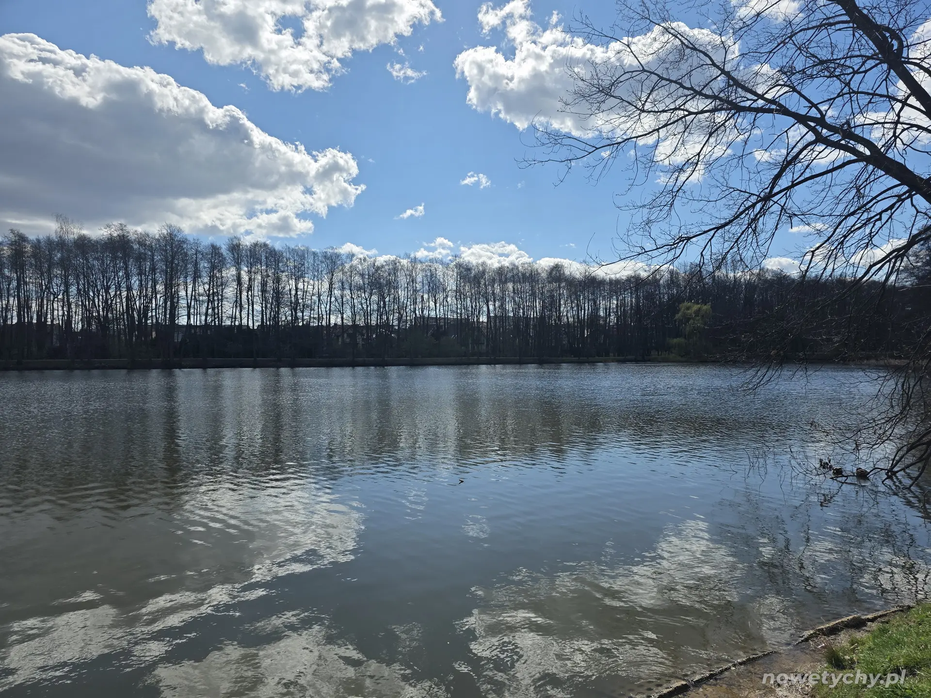 Staw, widok na południe