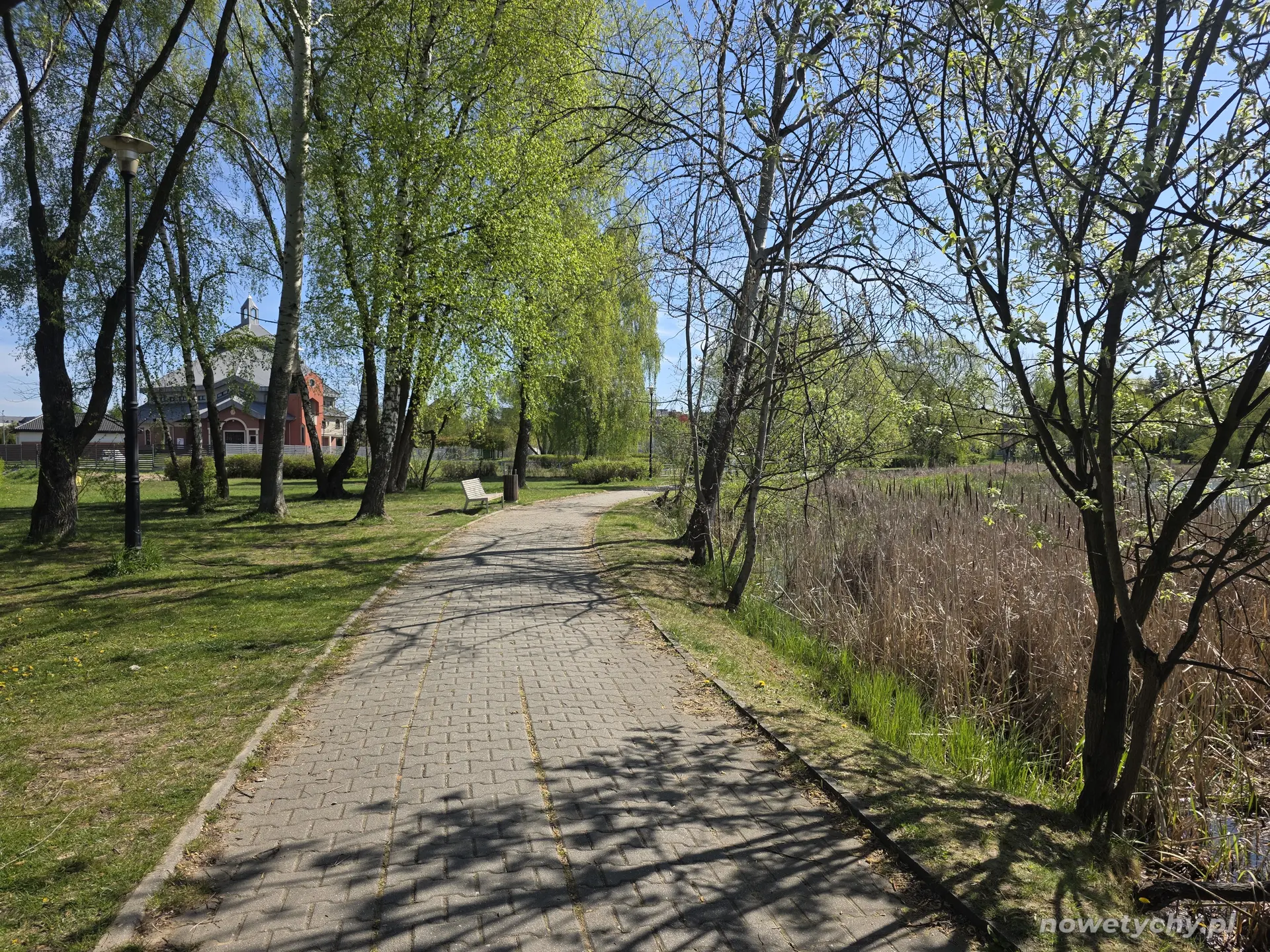 Aleja parkowa, po lewej stronie Kości&oacute;ł pw św. Jadwigi Śląskiej