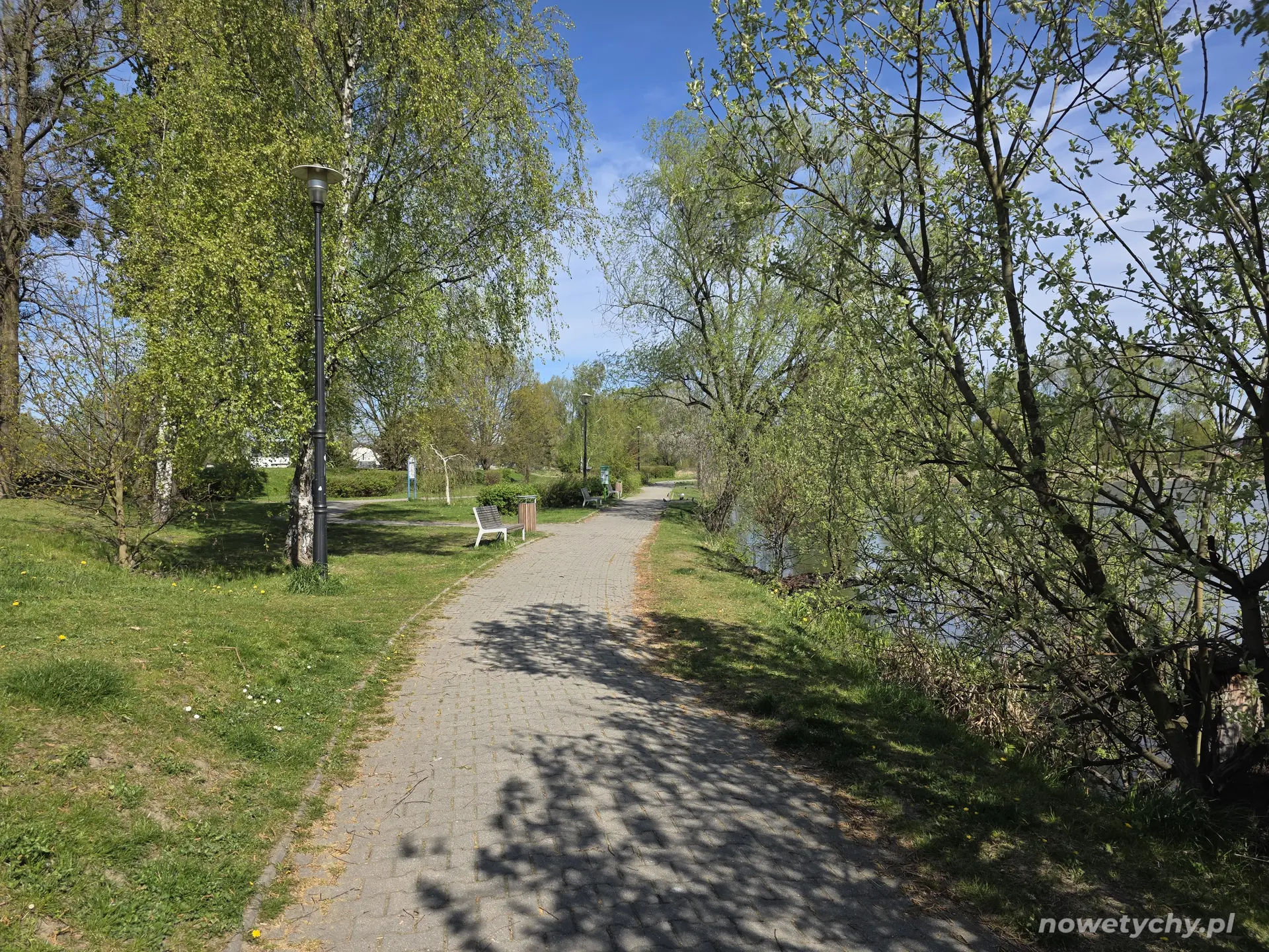 Aleja parkowa, po prawej staw, po lewej ulica Stoczniowc&oacute;w