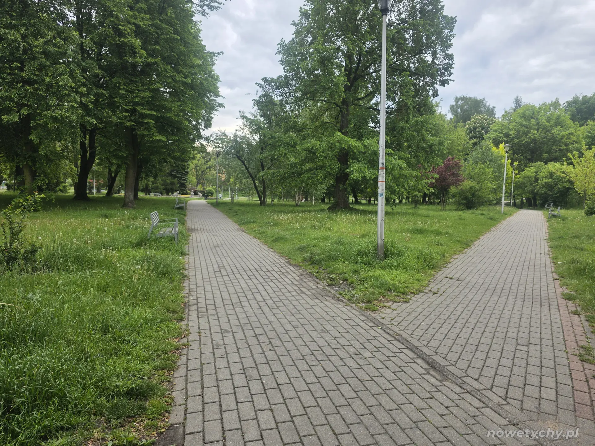 Rozwidlenie alei w parku, po lewej stronie alejka prowadząca do Niedźwiadk&oacute;w