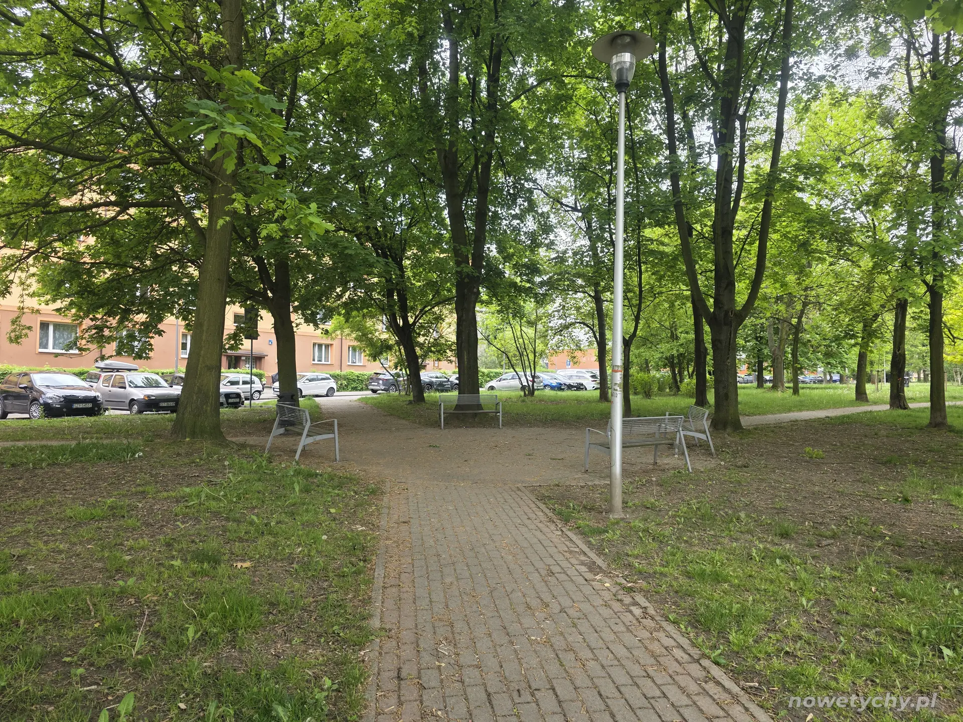 Rozwidlenie parkowych alejek z ławkami i niewielkim placykiem