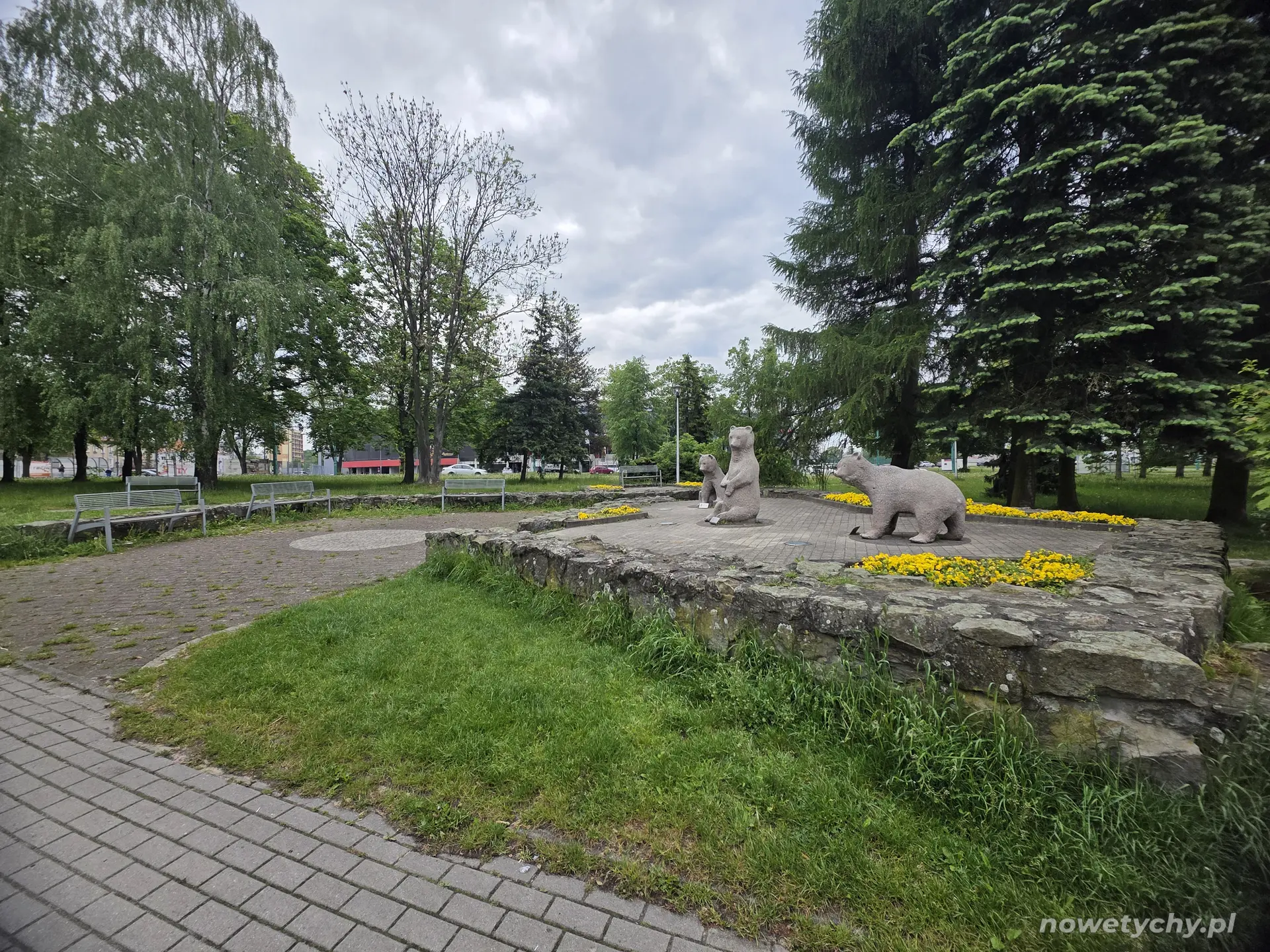 Niedźwiadki