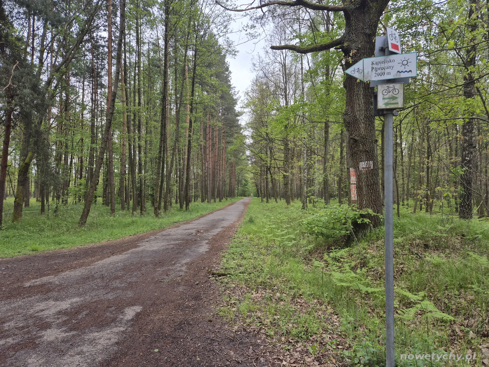Ścieżka nad jezioro