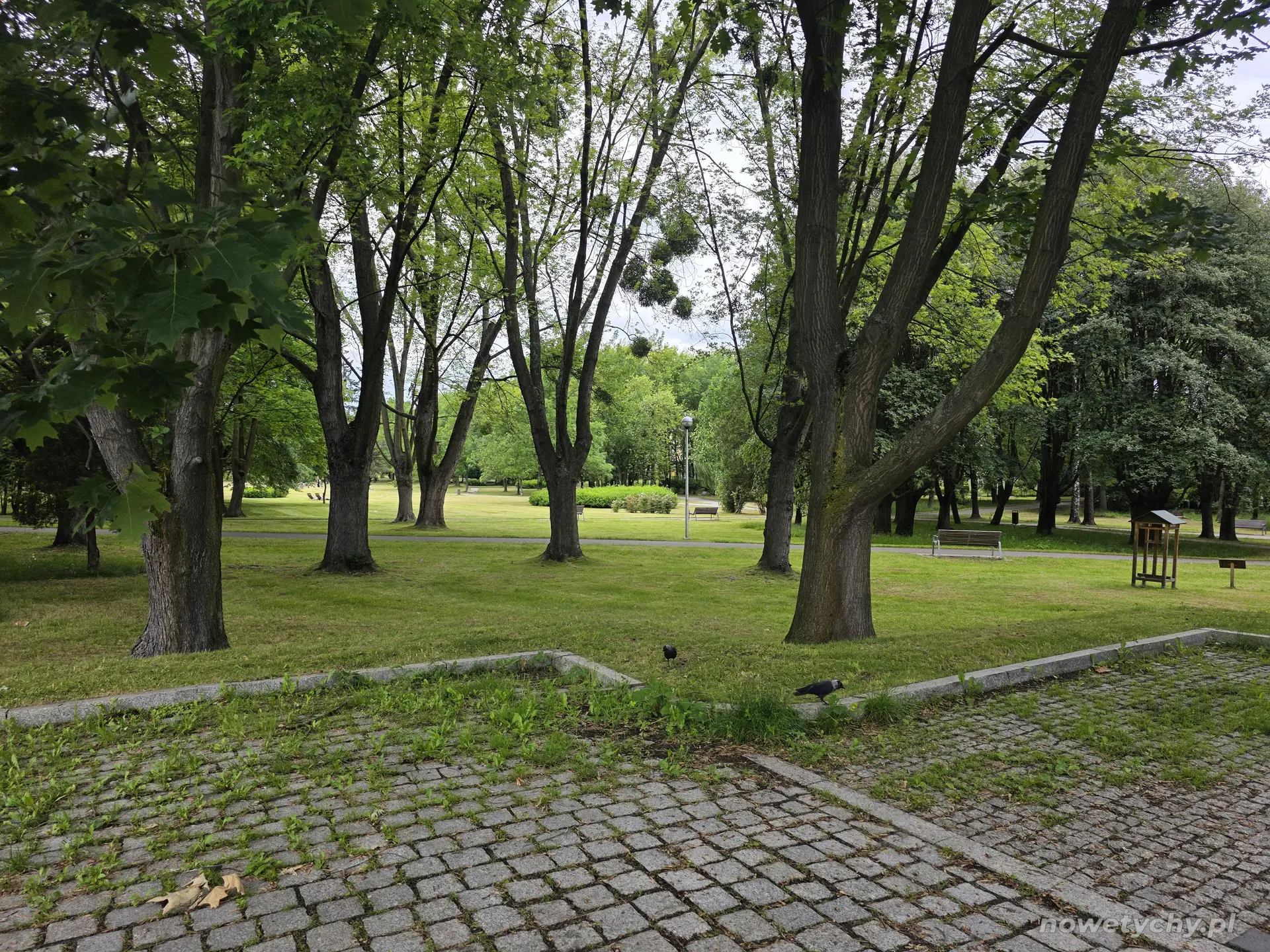 Widok parku z parkingu przed UM Tychy