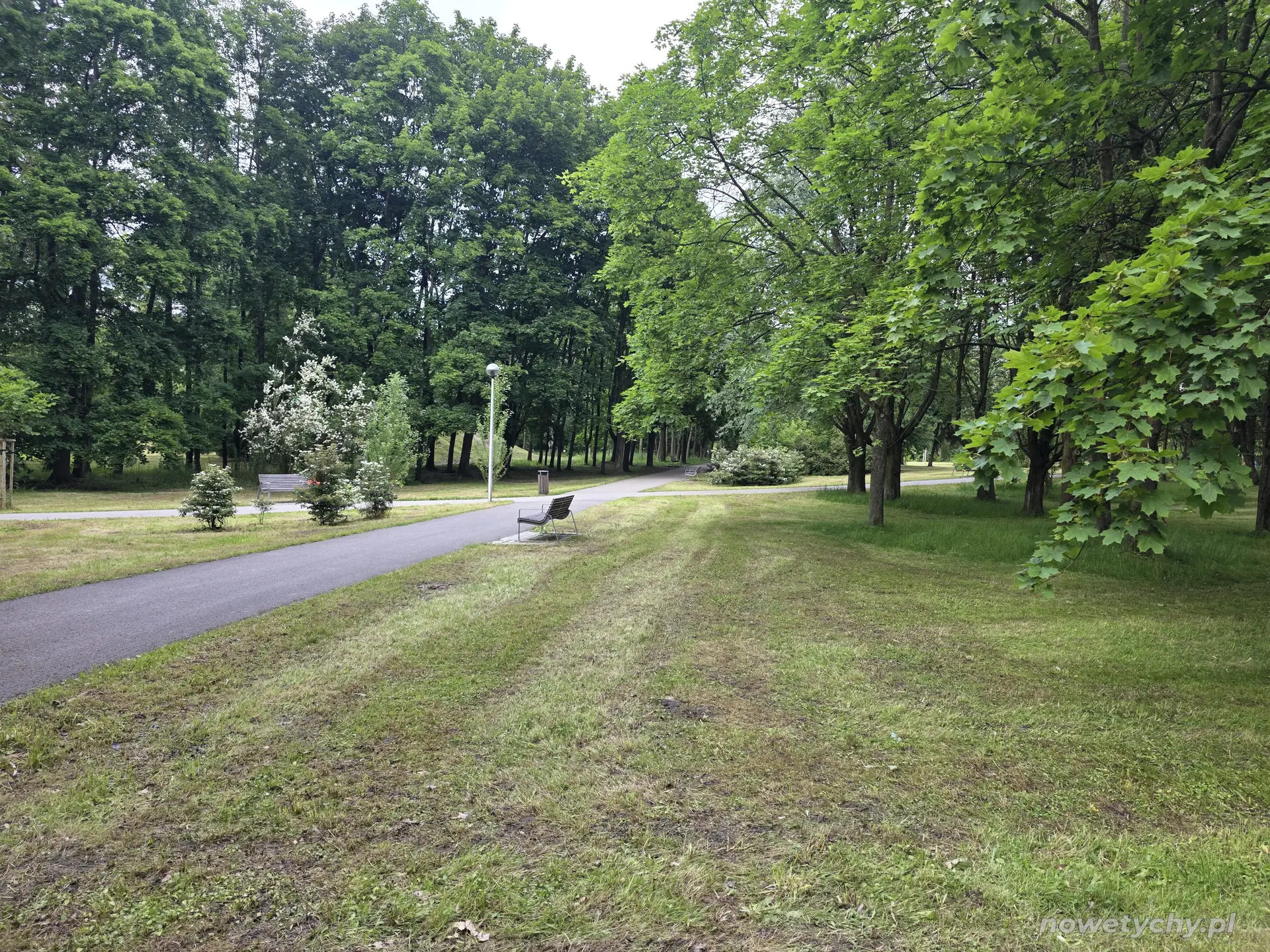 Aleja parkowa. widok w stronę "Żyrafy"
