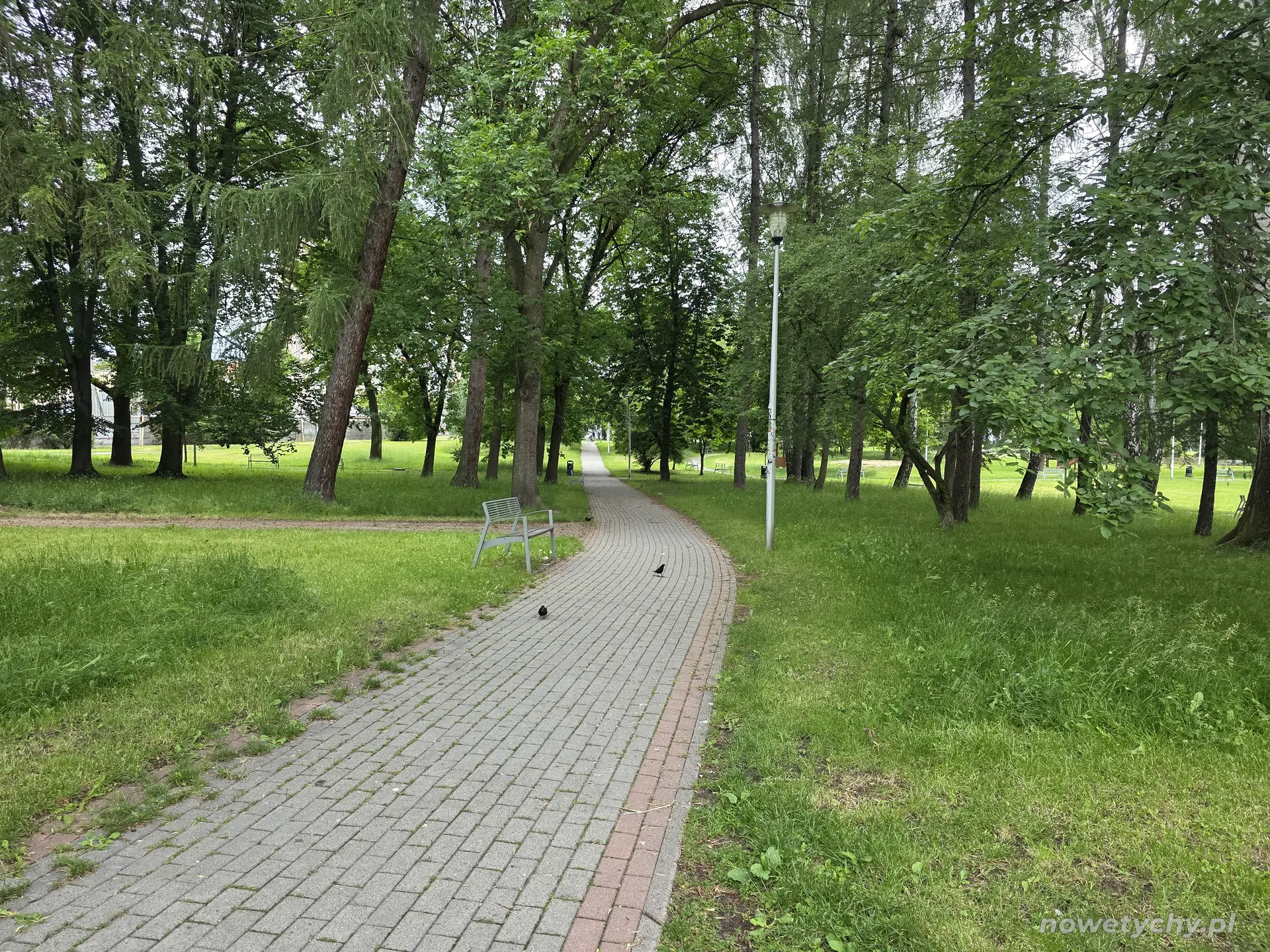 Aleja parkowa z ławkami, widok w kierunku ulicy Edukacji