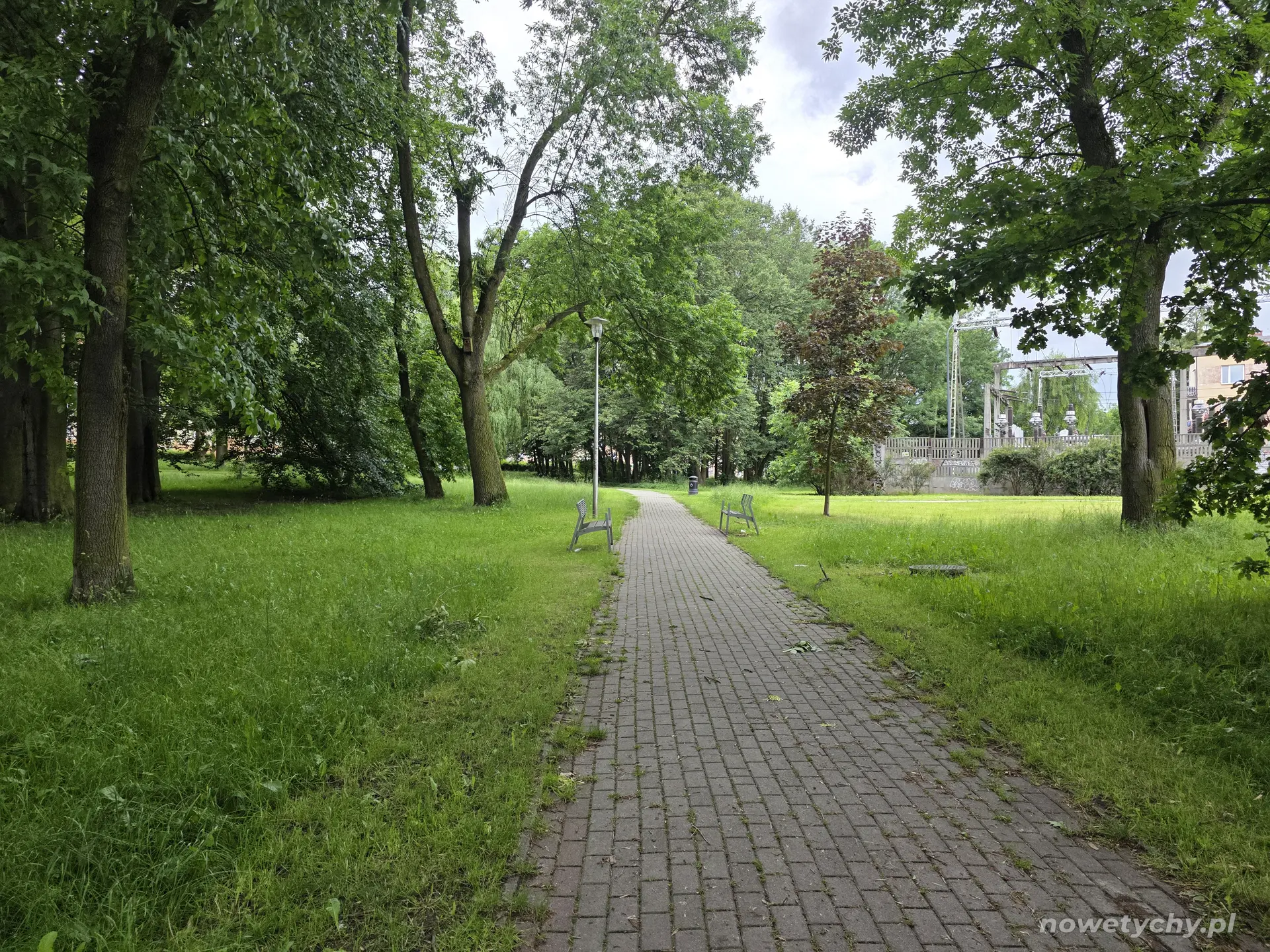 Aleja parkowa z ławkami, widok w kierunku alei Niepodległości