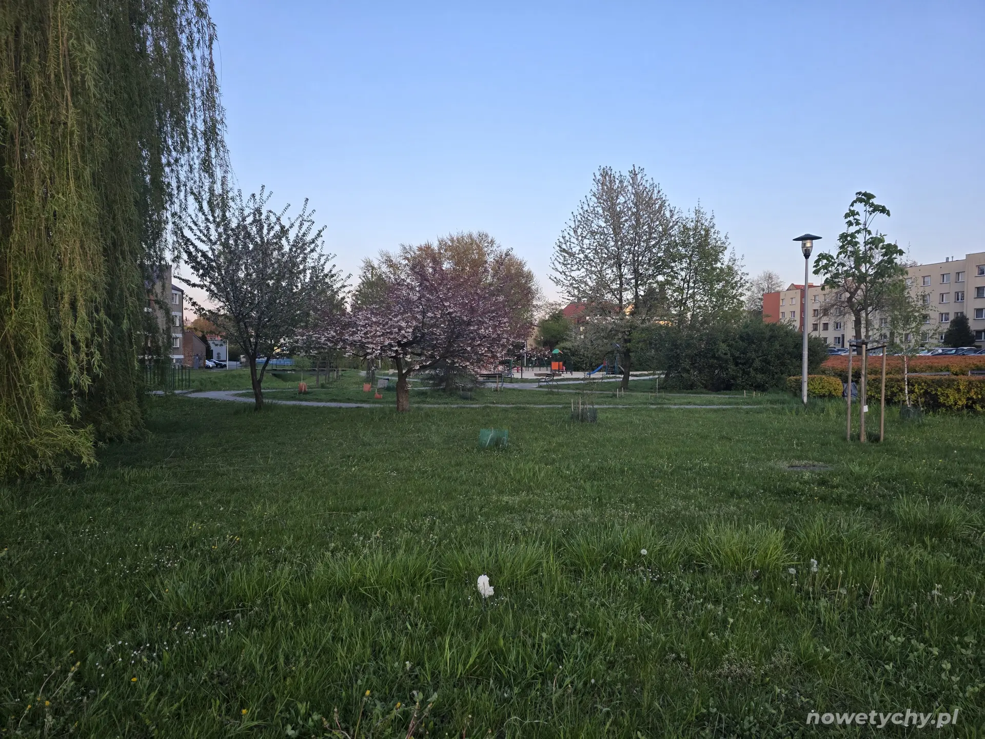 Widok skweru od ulicy