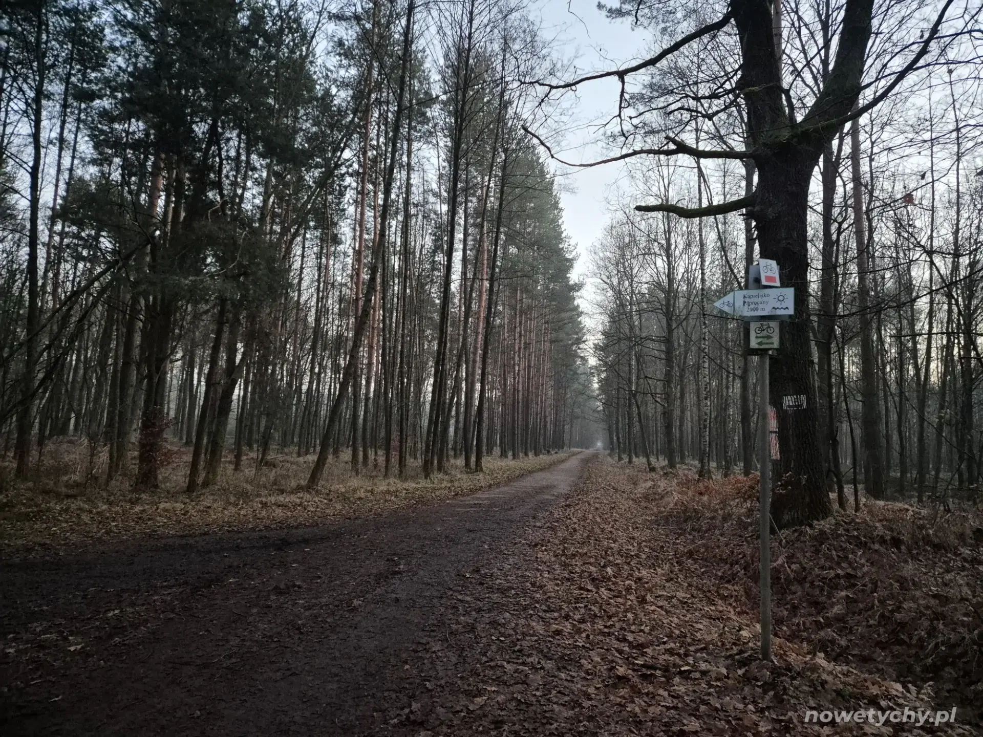 Droga na południe w kierunku jeziora Paprocańskiego